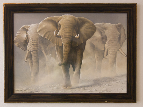 Obraz slonů